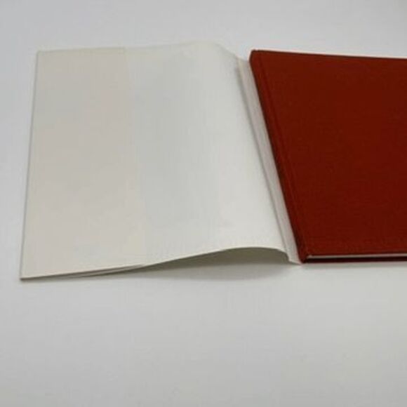 WILLEM VAN TETRODE Sculptor Artist Museum Catalogue Hardcover Book 2003 Amsterda - Picture 11 of 16